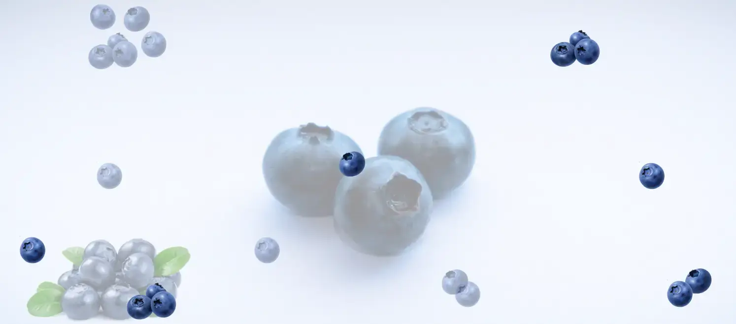 Голубика Бум