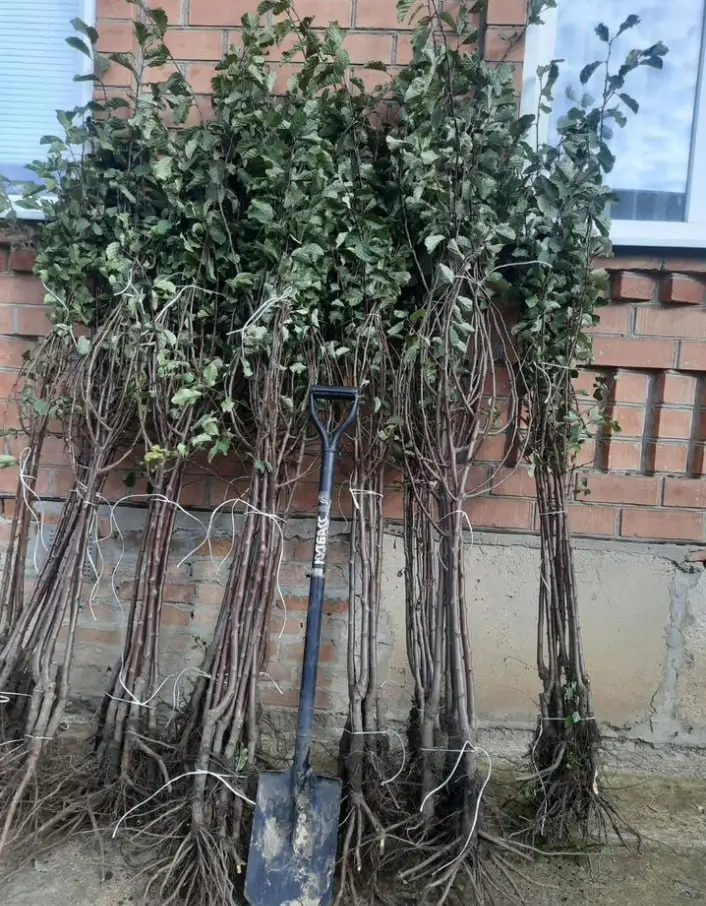 Результат Юры З.